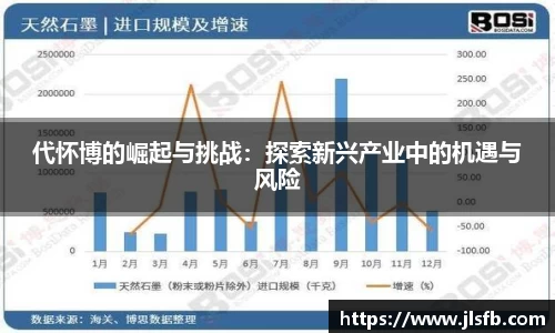 代怀博的崛起与挑战：探索新兴产业中的机遇与风险